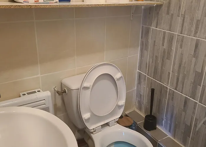 - Pres Jardin Des Explorateurs * 布雷斯特